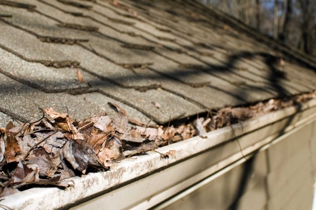 spring roof prep, spring roof maintenance, gutter maintenance